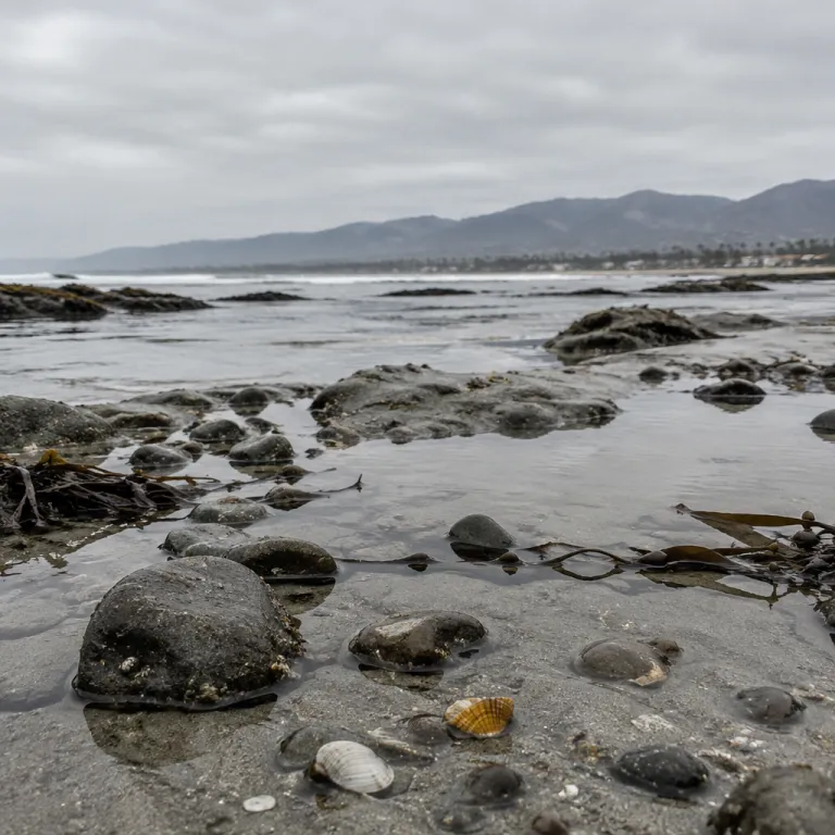 Elegant family adventures by the sea: refined things to do with kids in Santa Barbara